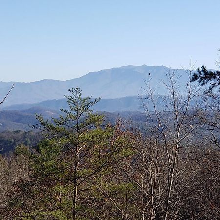 Lazy Bear Cabin Sevierville Dış mekan fotoğraf