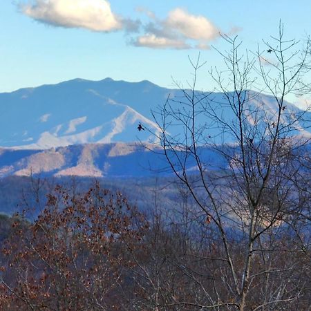 Lazy Bear Cabin Sevierville Dış mekan fotoğraf