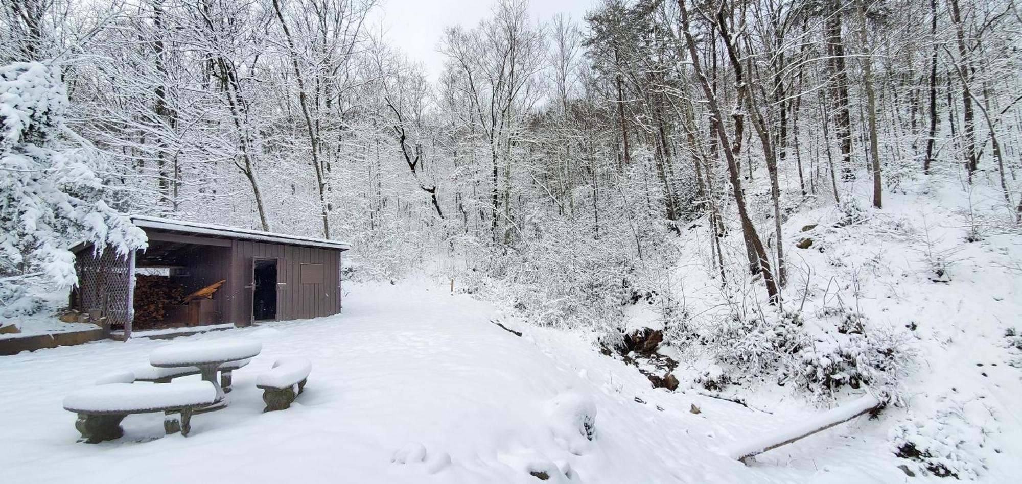 Lazy Bear Cabin Sevierville Dış mekan fotoğraf