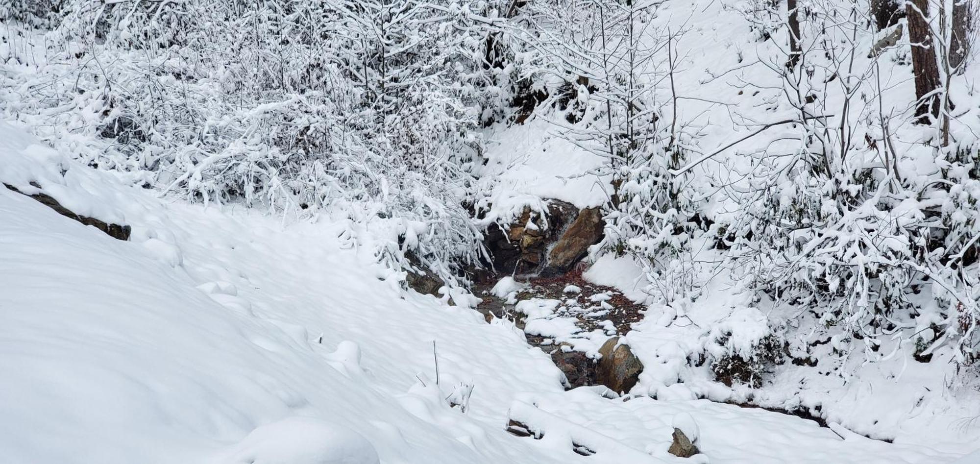Lazy Bear Cabin Sevierville Dış mekan fotoğraf